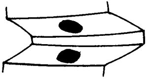 FX݆͜(zhn)pX݆g(sh)Z(y)ӹ݆X|zԇ(yn)