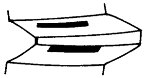 FX݆͜(zhn)pX݆g(sh)Z(y)ӹ݆X|zԇ(yn)