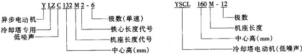 YSCLYLZCϵsõஐ늄әCY(ji)(gu)鼰c